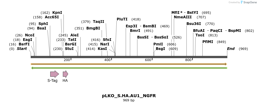 305567_map