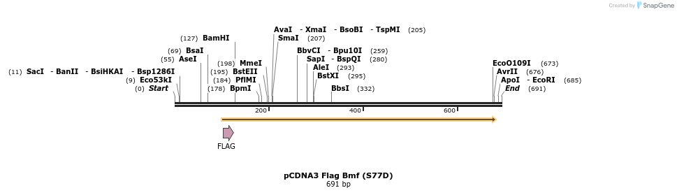 30557_map