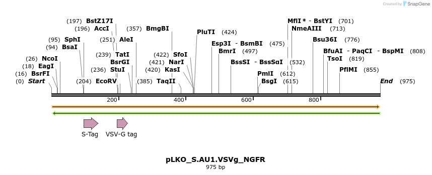 305571_map
