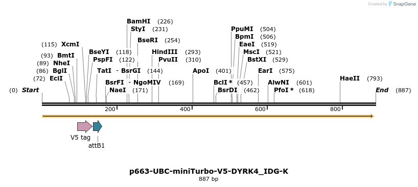 305589_map