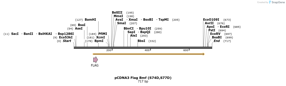 30559_map