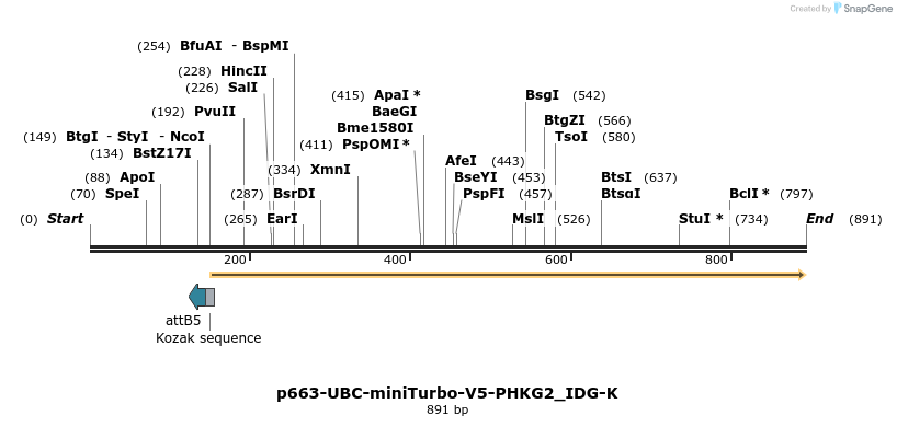 305595_map