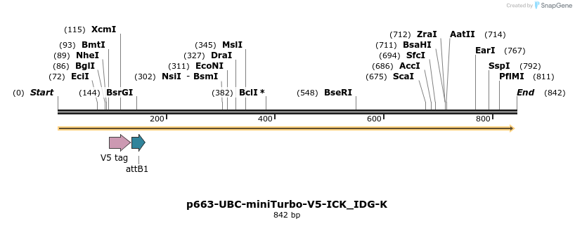 305600_map