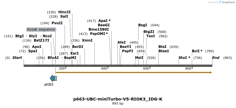 305602_map