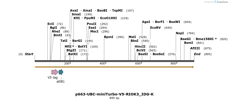 305603_map