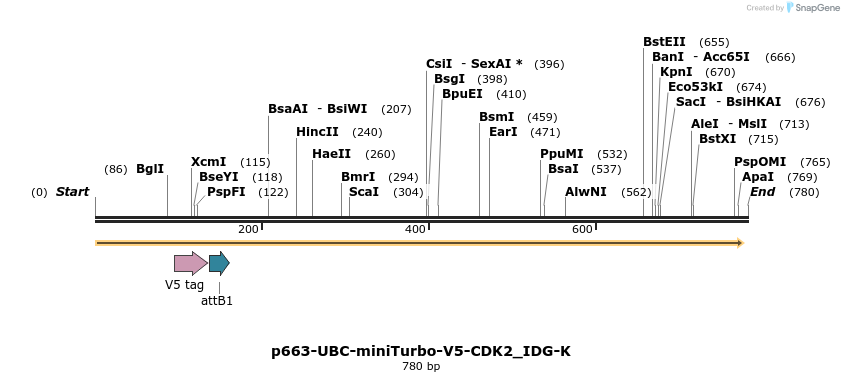 305626_map