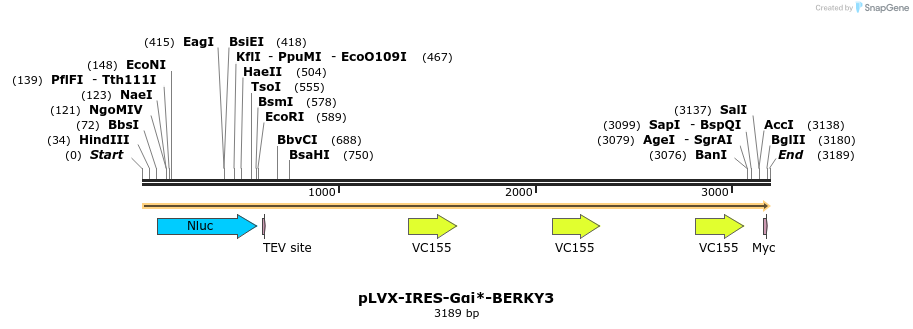 305666_map