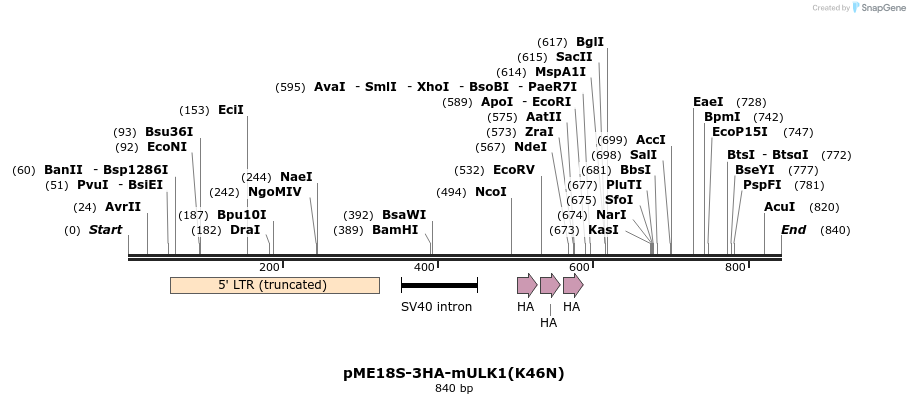30571_map