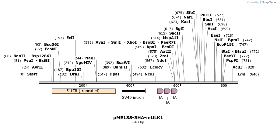 30572_map