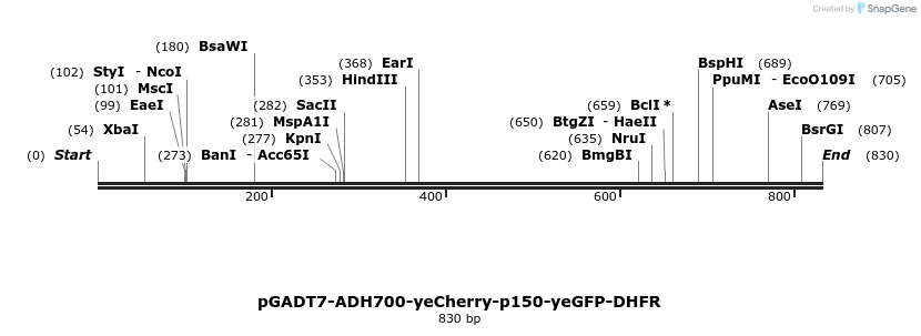 30577_map