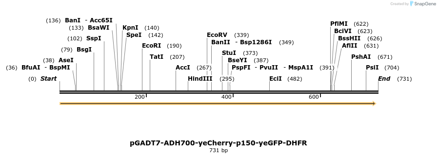30578_map