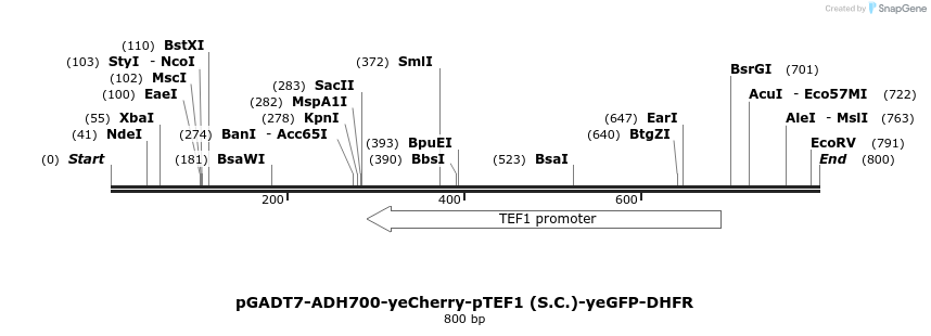 30581_map
