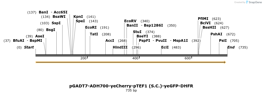 30582_map