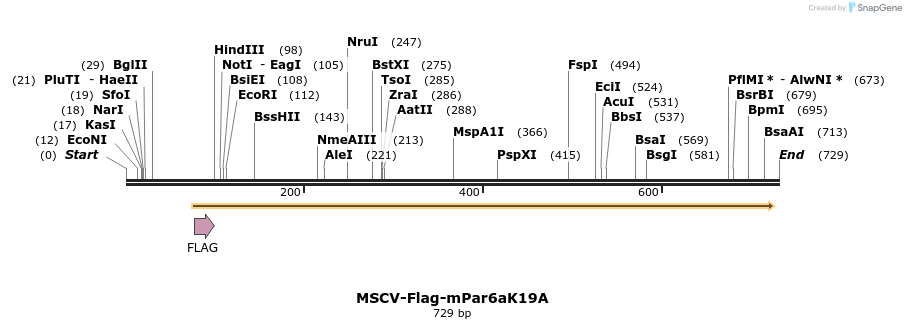 30589_map