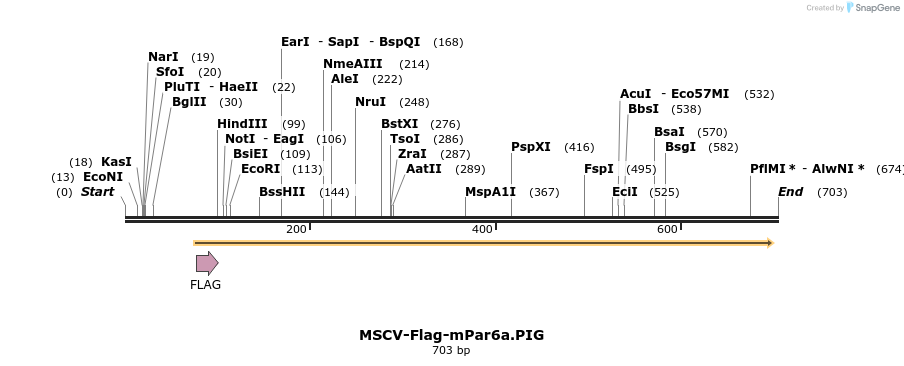 30590_map