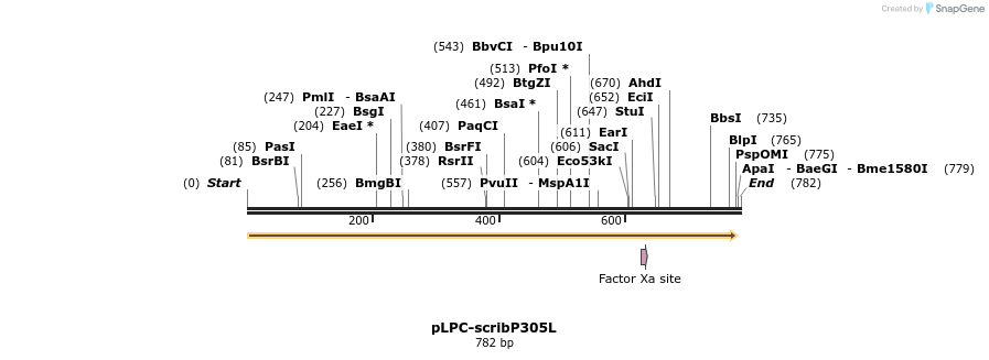 30592_map