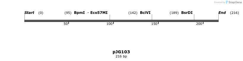 305939_map