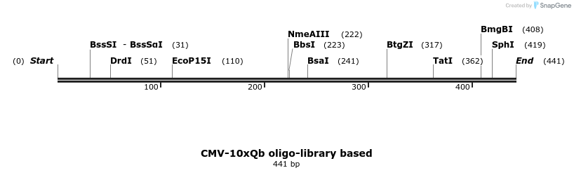 305956_map