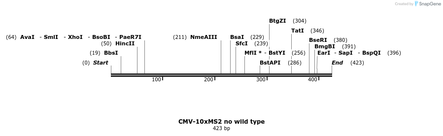 305967_map