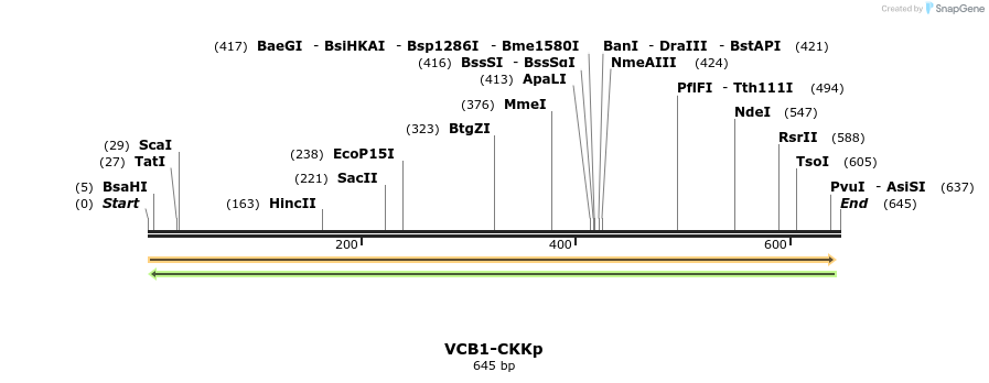 30597_map