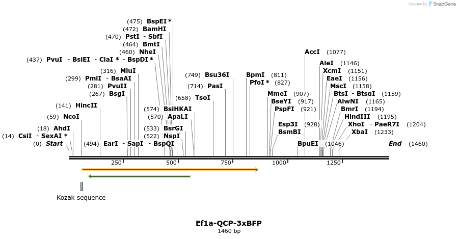 305971_map