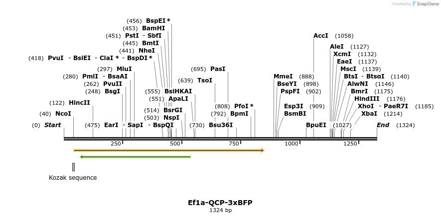 305972_map