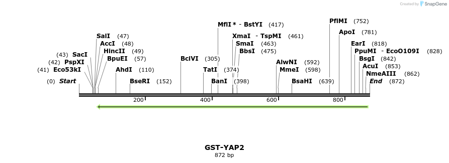 30599_map