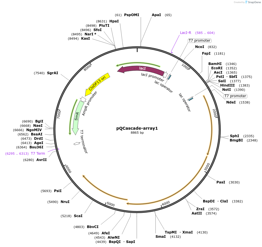 306003_map