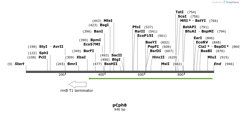 30602_map