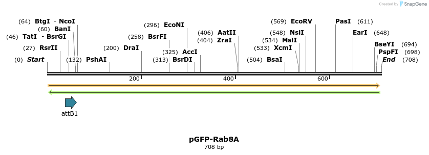 30603_map