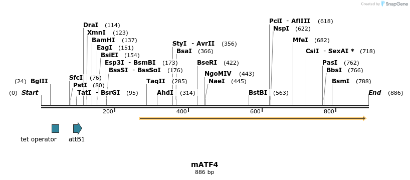 30604_map