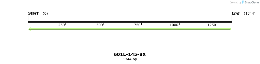 306055_map