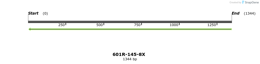 306056_map