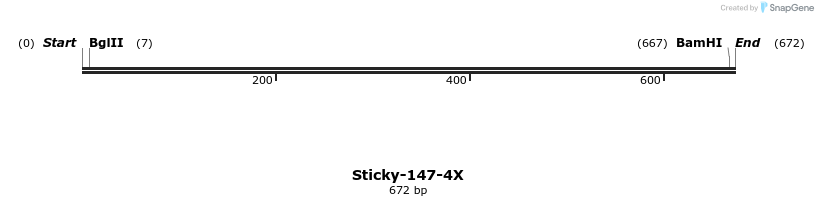 306057_map