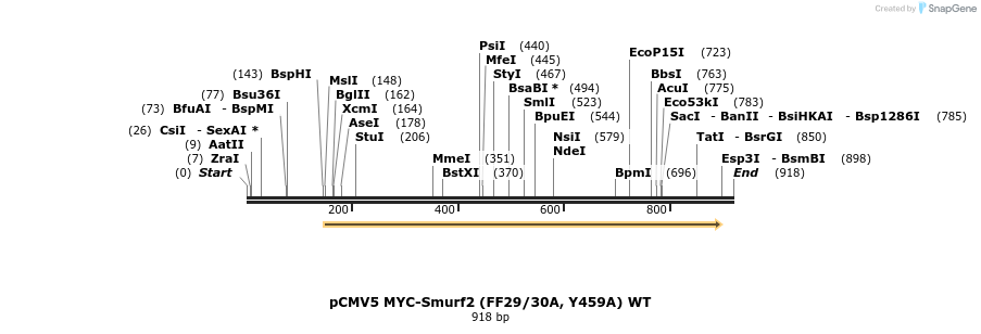 30608_map