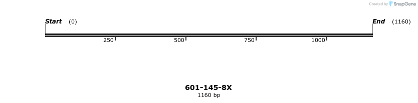 306129_map