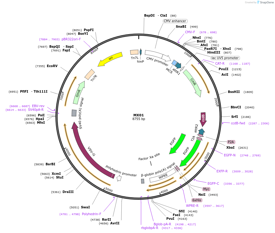 306133_map