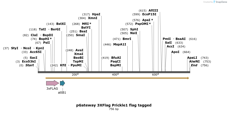 30618_map