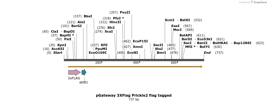 30619_map
