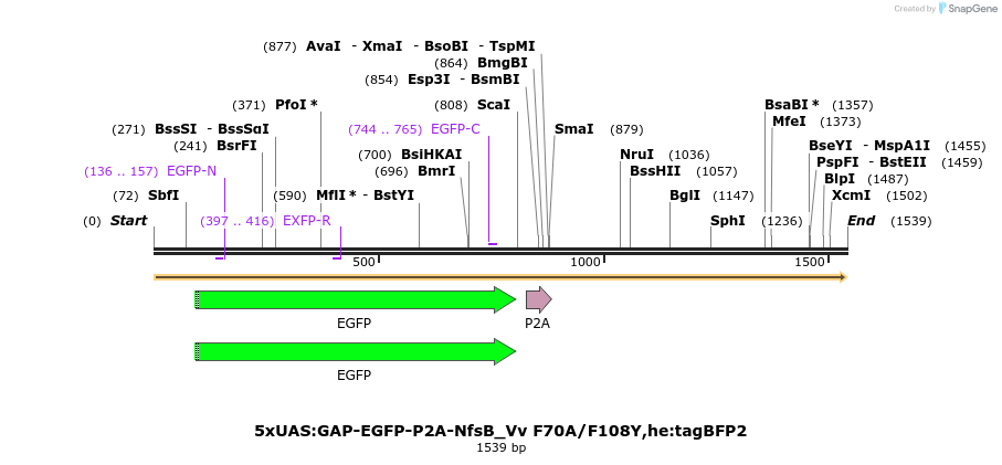 306190_map