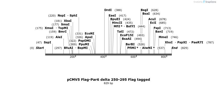 30620_map