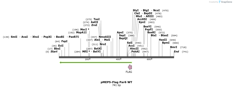 30623_map