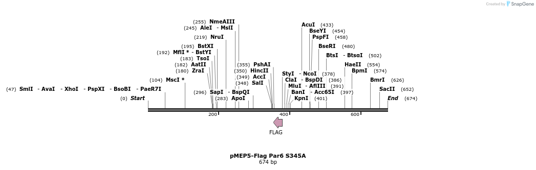 30625_map