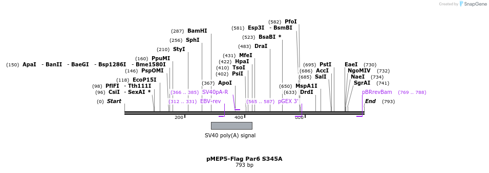 30626_map