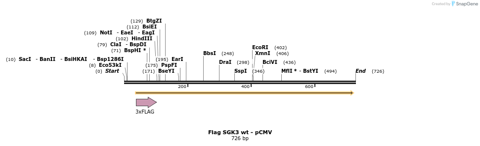 30628_map