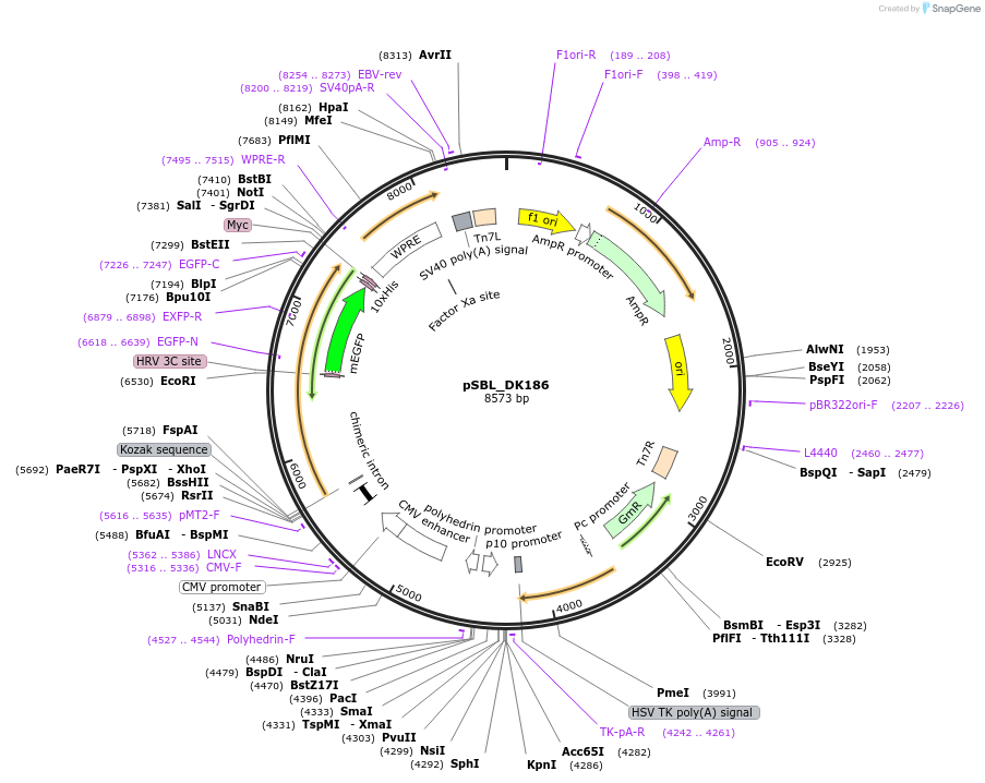 306308_map