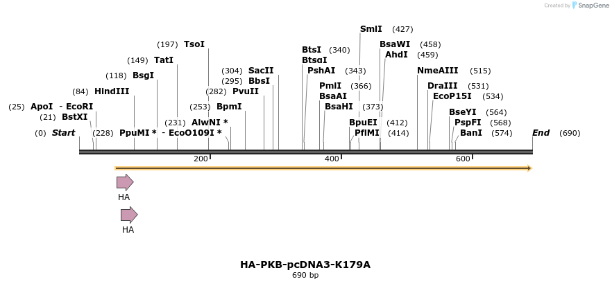 30631_map