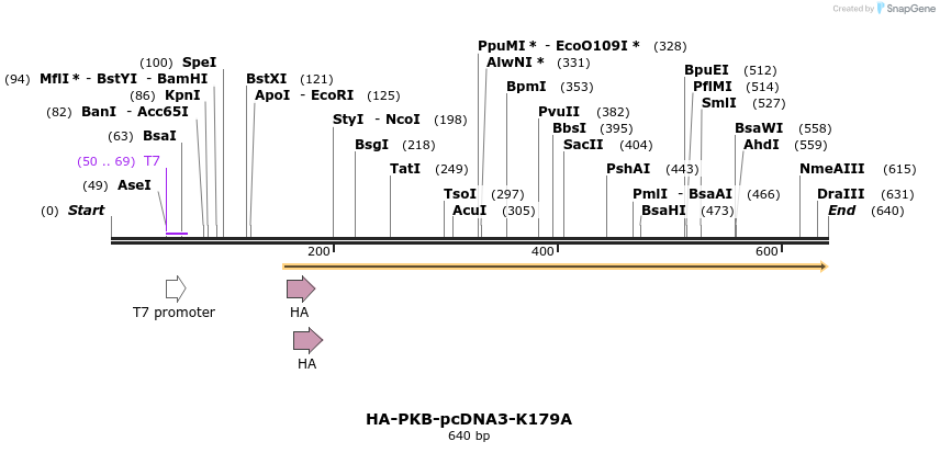 30632_map
