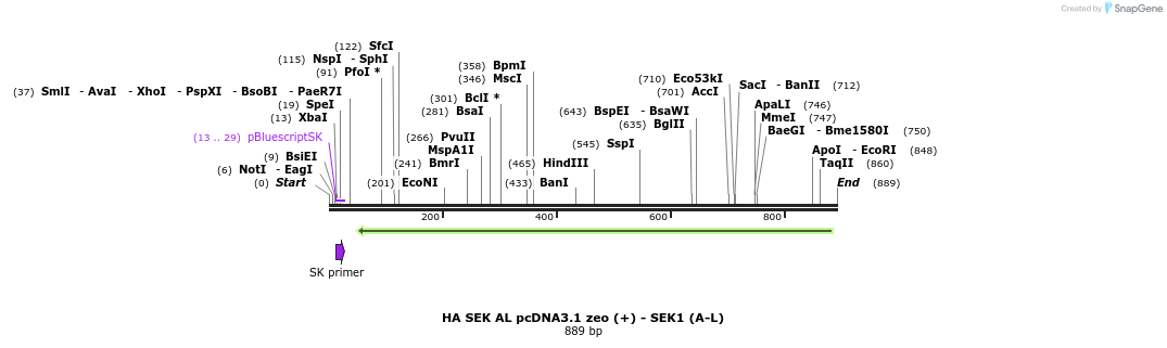 30633_map
