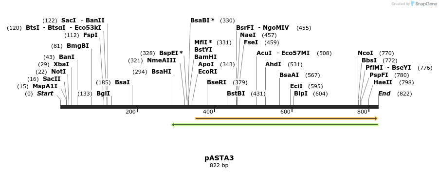 30637_map